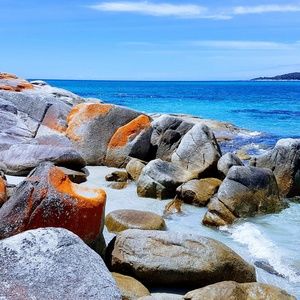 Meet your Posher, Laurelle